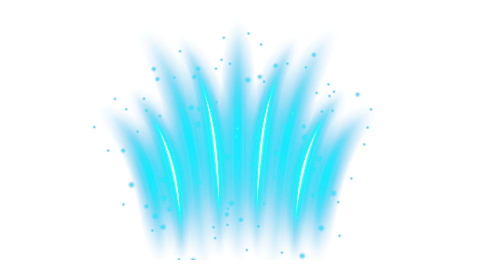 Curated drops. Rotated weekly.